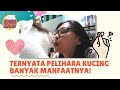 7 Manfaat Pelihara Kucing Untuk Manusia - Yuk Sayangi Kucing!