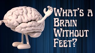 What's a Brain Without Feet? (Parshas Eikev)