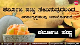 Muskmelon Fruit: ಕರ್ಬೂಜ ಹಣ್ಣು ಸೇವಿಸುವುದರಿಂದ ಆರೋಗ್ಯಕ್ಕೆ ಹಲವು ಉಪಯೋಗವಿದೆ… | Udayavani