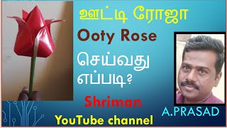 Ooty Rose|ஊட்டி ரோஜா|ஊட்டி ரோஸ் செய்வது எப்படி? #howtomakeapaperrose