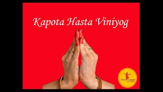 Kapota Hastas Viniyoga