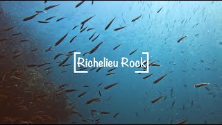 Richelieu Rock. Third dive. 08.11.2023.