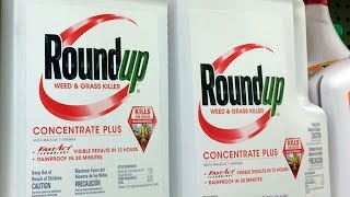 Monsanto ordered to pay $289M over claims weed killers caused cancer