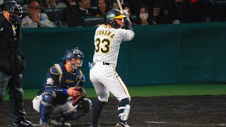 糸原健斗 必殺代打人 今日も代打でヒットを放ちチャンスメイク