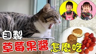 【直播】MiMi醬汝汝杉杉❤做了好幾瓶草莓果醬可以吃到下一個冬天了