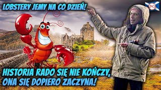 LOBSTERTY jemy na CO DZIEŃ! Historia RADO się dopiero ZACZYNA!