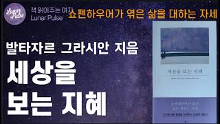 [lunar pulse]세상을 보는 지혜/발타자르 그라시안/자화상 출판