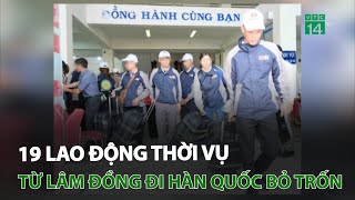 19 lao động thời vụ từ Lâm Đồng đi Hàn Quốc bỏ trốn | VTC14