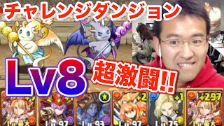 【パズドラ】前編：超激闘！チャレンジダンジョンLv8 初挑戦！！【BEST OF 2014受賞記念】