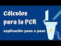 🧬 🥼 REACCIÓN EN CADENA DE LA POLIMERASA (PCR) ¿Cómo se hacen los CALCULOS para el MASTER MIX 🧬 🥼