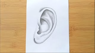How to Draw An ear for beginners - Step by Step / Easy way to draw