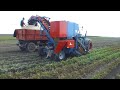 asa lift cm1000 carrot harvester romania