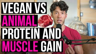Plant-Based Diet for Building Muscle? Study Breakdown
