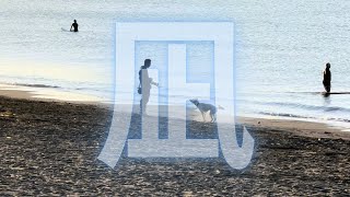 '24.12.3｜Surfing Videos JP｜湘南藤沢-デッキ前〜銅像前-早朝｜Canon R5C｜iPhone16Pro｜Vlog｜HDR｜今日も凪｜