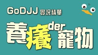 GoDJJ精華│養癢der寵物