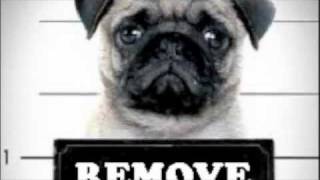 Remove Mugshots With Our Service