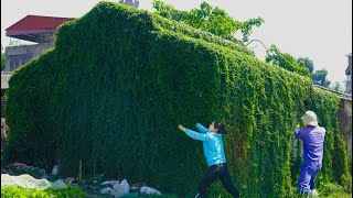 We were Shocked to see the Old Man and Mrs.'s House Swallowed Up by Weeds - Cleaning \u0026 Mowing