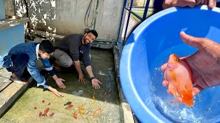 Bohat Pyari Fishes Gift Ai Hain 😍 Sabko Ducks Pool Mey Chor Dia