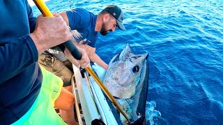 İnce Takımla Dev Balık Yakaladık / Giant Tuna Fishing