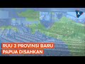 DPR Sahkan RUU 3 Provinsi Baru Papua, Indonesia Jadi Punya 37 Provinsi