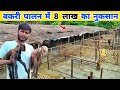 कम खर्चे में बनाया हाईटेक🔥 बकरी फार्म ~ पर एक गलती 8 लाख का नुकसान | Goat farming