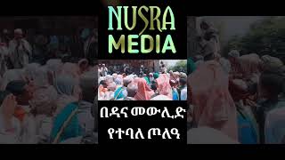 በዳና መውሊድ ላይ የተባለ ጦለዓ || dana lay yetebale tolea #hadra #menzuma #neshida #inayarecords #alfaruq