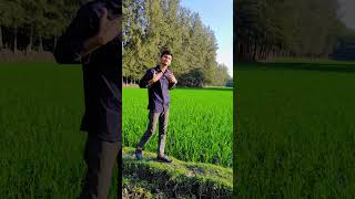 আগামীকাল বিশ্ব ভালোবাসা দিবস!? #youtubeshorts #funny #comedyshorts #shots