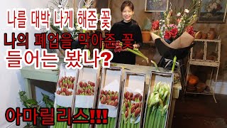 아마릴리스 나의 폐업을 막아준꽃 나를 대박나게 해준 꽃 아마릴리스 핸드타이드 플로리스트 Amaryllis arrangement