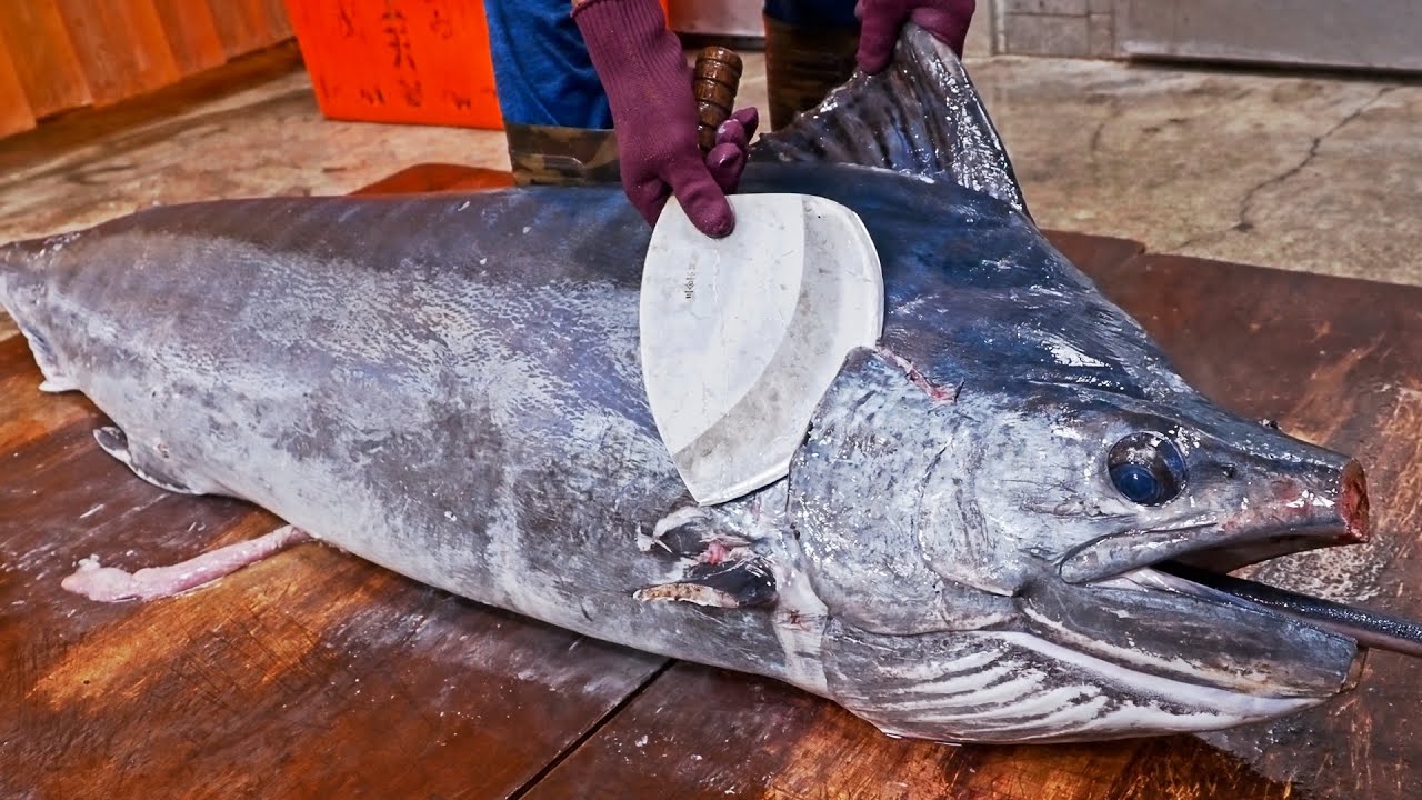 Amazing skill!Black marlin cutting Master, Fried fish belly, Luxurious sashimi/驚人的技巧!白皮旗魚切割大師, 旗魚金三角