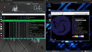 Battle of the Lightweights!  MX Linux (flux) vs Lubuntu