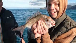 Apollo Bay Fishing Charters With Endless Aussie Adventures & Throttle Downunder