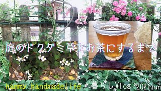 【暮らし】庭のドクダミ草をお茶にするまで〜ドクダミ草に困っているなら是非一度作ってみて欲しい！50代vlog