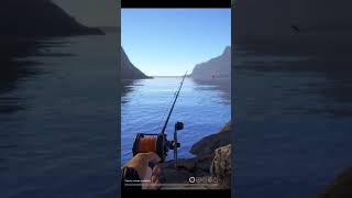 🐠🎣Spinning fishing in the Norwegian Sea. Russian fishing 4 rf4 #shorts #fishing #gaming