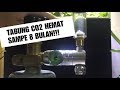 Tutorial lengkap cara pemasangan tabung CO2 AQUASCAPE !! / How To Install Co2 For Aquascape