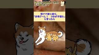 【2chほのぼのスレ】飼っていた秋田犬（オス）え？産んだ！？【ゆっくり解説】#shorts