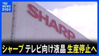 シャープ　テレビ向けの大型液晶パネル生産停止へ｜TBS NEWS DIG