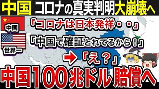 【ゆっくり解説】ブチギレた世界から中国へ賠償請求｜ついに判明！コロナの決定的証拠に迫る！　#コロナ  #地理  #歴史