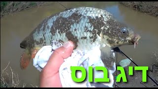 קרפיון בדיג בוס בנחל - דיג עם מצוף carp fishing | folat fishing