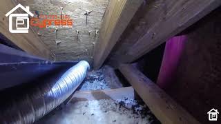 Cypress Critters and Pests bats removal | Pest Control Service