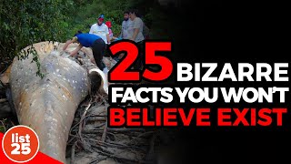 25 Bizarre Facts You Won't Believe Exist   But They Do