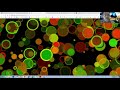 Creative Coding with P5.js - A Gateway Drug for the Code Phobic