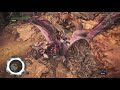 【mhw】リオレイア亜種討伐　操棍虫