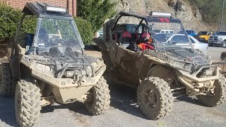 Riding Royal Blue and the Sundquist TWRA Trails