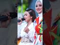 bebas tasya rosmaala ft anisa rahma new pallapa