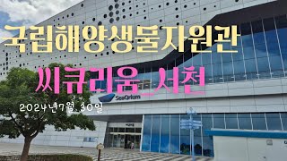 씨큐리움(국립해양생물자원관)_충남 서천 (2024년 7월 30일)