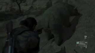 MGSV - The Legendary Brown Bear