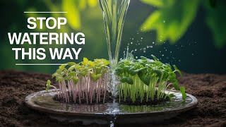 Agronomists HATE This: How Ordinary Water Destroys Seedlings – Secret Boost Revealed 🌱.