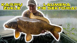 Karpių žvejyba. Laumena - 7/8 sektoriai. (Carp Fishing @ Laumena)