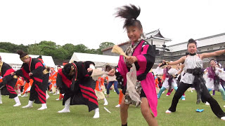 総おどり　踊れ日本海　金沢百万石まつり2013