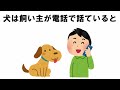 犬と飼い主との愛情表現の雑学